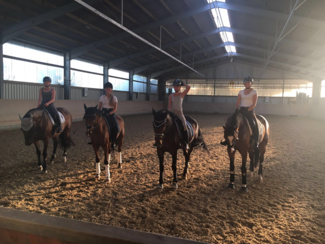 Qualifiaktion zur Rheinischen Meisterschaft 2016